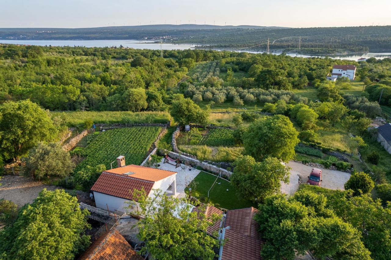 Holiday Home - Villa Thorak Anić Dış mekan fotoğraf
